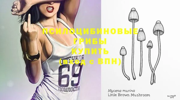 спиды Армянск