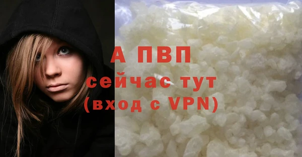 гашик Аркадак