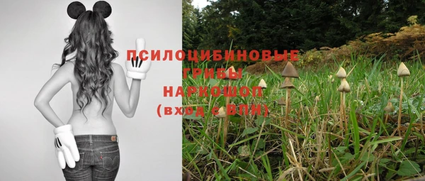гашик Аркадак