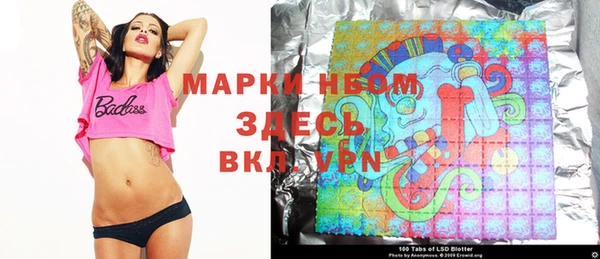 гашик Аркадак
